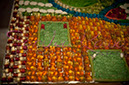 _DSC6526